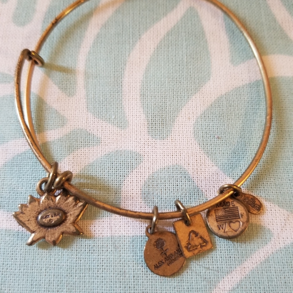 Alex and Ani bracelet